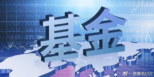 招商基金侯昊 為何此時放開基金限購？探尋企業自有資金入市的新機遇